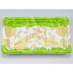 20-13 フロルL BFデリスタ 本体 シーピー化成