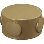 白樺樹皮　蓋付き丸型ボックス 白樺樹皮 蓋付き丸型ボックス