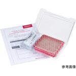 SureSTARTバイアル 1箱 100本入 Thermo Fisher Scientific