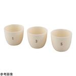 番号付きアルミナるつぼ 器 1-10番号入 10個一式 ARCシリーズ アズワン