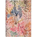 PB7229-4 アネモネ (ミニ) Paperblanks(ペーパーブランクス)