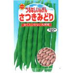 501270 【タネ】つるなしいんげん さつきみどり インゲン 野菜 アタリヤ農園