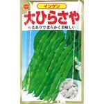 502697 【タネ】インゲン 大ひらさや いんげん 野菜 アタリヤ農園