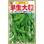 【タネ】エダマメ 早生大粒 枝豆 野菜 アタリヤ農園