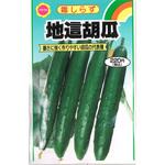 【タネ】霜しらず 地這胡瓜 きゅうり 野菜 アタリヤ農園