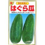 【タネ】作りやすい はぐら瓜 うり 野菜 アタリヤ農園