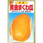 【タネ】芳香 黄金まくわ瓜 うり 野菜 アタリヤ農園