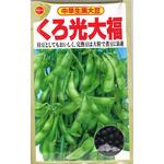【タネ】中早生黒大豆 くろ光大福 大豆 えだまめ 枝豆 野菜 アタリヤ農園