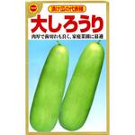 555600 【タネ】漬け瓜の代表種 大しろうり 野菜 アタリヤ農園