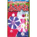 【タネ】花色いっぱいミラクルカラー あさがお 朝顔 花 アタリヤ農園