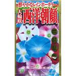 【タネ】鮮やかなレインボーカラー 大輪咲 西洋朝顔 アタリヤ農園