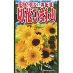 【タネ】花粉が出ない切花用! 切花ひまわり 花 アタリヤ農園