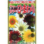 【タネ】夏の空に明るく輝く! サマーカラーひまわり 花 アタリヤ農園