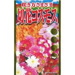 【タネ】咲き方さまざま 切花コスモス 秋桜 花 アタリヤ農園