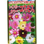 700959 【タネ】とってもカラフルで可愛い花々! レインボーカラーコスモス 秋桜 花 アタリヤ農園