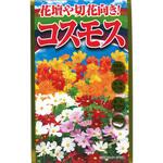 【タネ】花壇や切花向き! コスモス 秋桜 花 アタリヤ農園