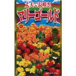 【タネ】丈夫で長咲き! マリーゴールド 花 アタリヤ農園