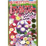 【タネ】変わり咲アスターのMix 切花用マジカルアスター 花 アタリヤ農園