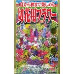 【タネ】夏から秋まで楽しめる 切花用フラワー 花 アタリヤ農園