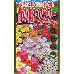 703141 【タネ】まきっぱなしで花畑! 背の低いフラワー ガーデン 花 アタリヤ農園