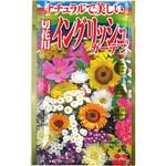 【タネ】ナチュラルで美しい 切花用イングリッシュガーデン 花 草花 アタリヤ農園