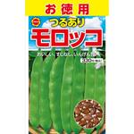 555624 【タネ】お徳用 つるあり モロッコ インゲン いんげん 野菜 アタリヤ農園