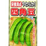 【タネ】栄養満点 やわらか! 四角豆 アタリヤ農園