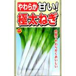 【タネ】やわらか 甘い! 極太ねぎ 野菜 アタリヤ農園