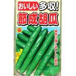 363448 【タネ】おいしい 多収! 節成胡瓜 きゅうり 野菜 アタリヤ農園