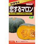 CFC350 【タネ】かぼちゃ 恋するマロン カネコ種苗