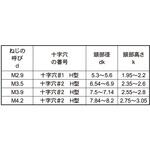 SUS+PAN(DIN7981C 大阪魂