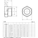 鍛鋼製ねじ込み式管継手 白 六角キャップ 藤井高圧