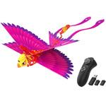 Go Go Bird ゴーゴーバード avail(アベル)