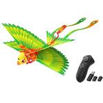 Go Go Bird ゴーゴーバード avail(アベル)