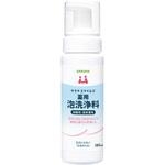 サラヤスマイルズ 薬用泡洗浄料 SARAYA(サラヤ)