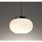 OP252608BR ペンダントライト ODELIC(オーデリック)