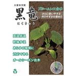 【タネ】黒竜 久留米原種育成会