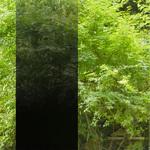069478 【オーダー】ファサラ グラデーション SH2BKIM イルミナ ブラック 1270mm 3M(スリーエム)