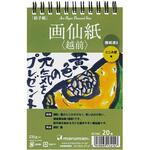 S174C 葉書画仙紙越前20枚 マルマン