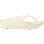W-FLIPFLOP TELIC