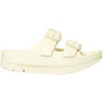 W-BUCKLE2 TELIC
