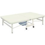 TB-466(120X200X45CM) キングベンダ ビニルレザー白 TB-466 120X200X45CM 高田ベッド製作所