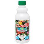 ホスベジ10 タキイ種苗