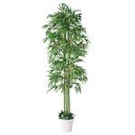 8724-904 夏の装飾品 七夕笹バンブー高さ210cm (人工観葉植物) ストア・エキスプレス