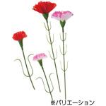 季節装飾(母の日)カーネーションピック ストア・エキスプレス