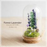 PTN-FL50 Petit Tenorium フォレストラベンダー 苔むすび