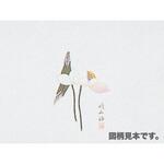 掛紙 裏刷 仏 151 小判 cotta