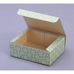 サービス箱 和 B (グリーン)4号 cotta