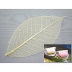 すかし木の葉 M(100枚入り) cotta