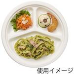 14440 徳用バガスプレート GPY-26 cotta